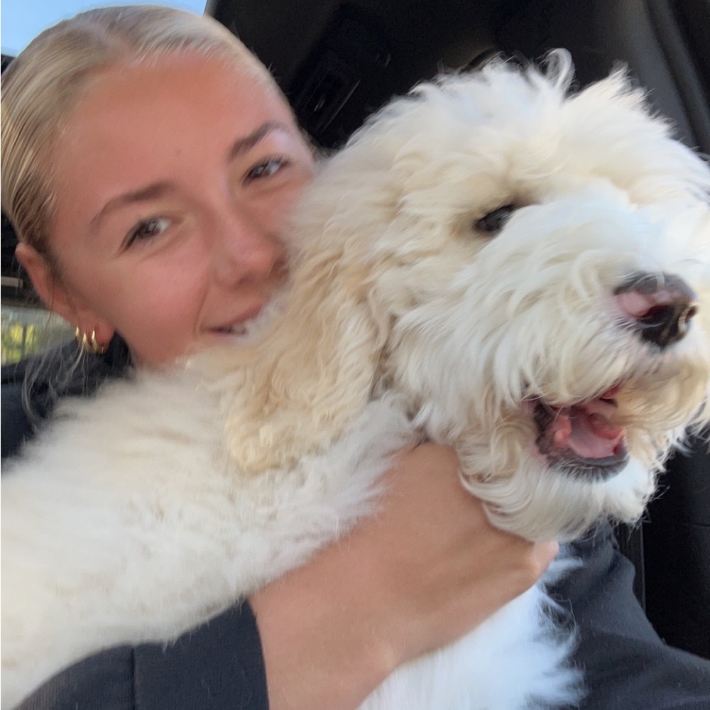 Meet your Posher, Caelan